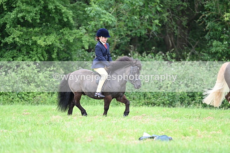 WJ7_4329 - Class 14A Handsome Gelding