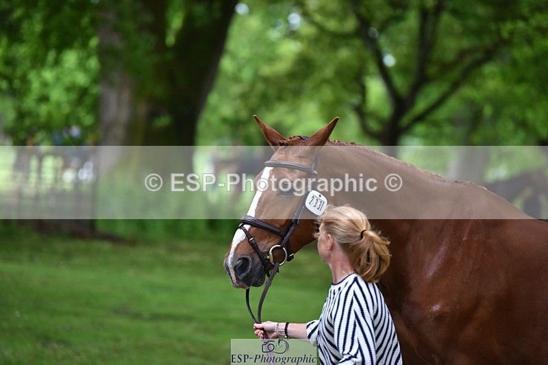 240522-170102-01325 - 233-SILVESTERS_FINESSE-Rosalind_Canter