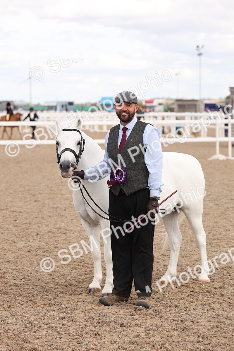 SBM_15147 - Class 209 - IH Veteran Pony