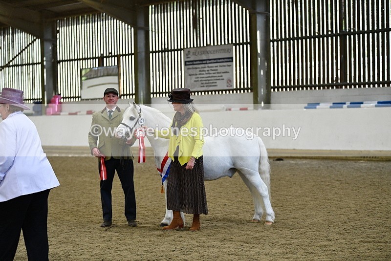 WJ5_5778 - Morning in hand Championship