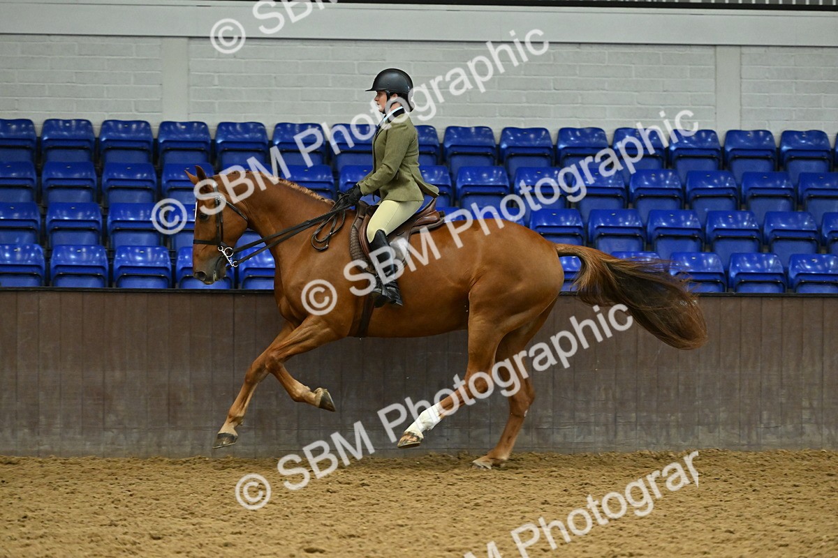 SBM_002091 - Class 23 - BSHA Ridden Show Hunter