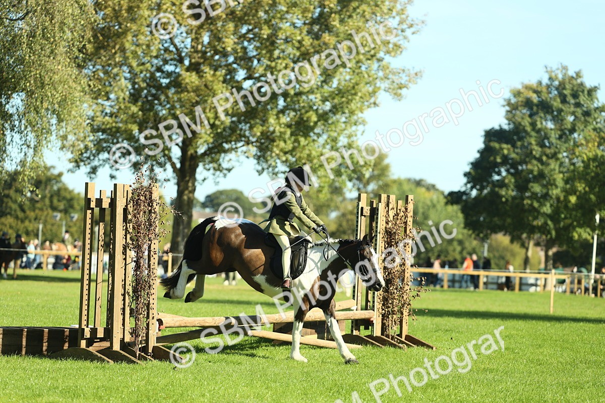 SBM_36519 - S29 - Novice & Newcomers Working Hunter Pony