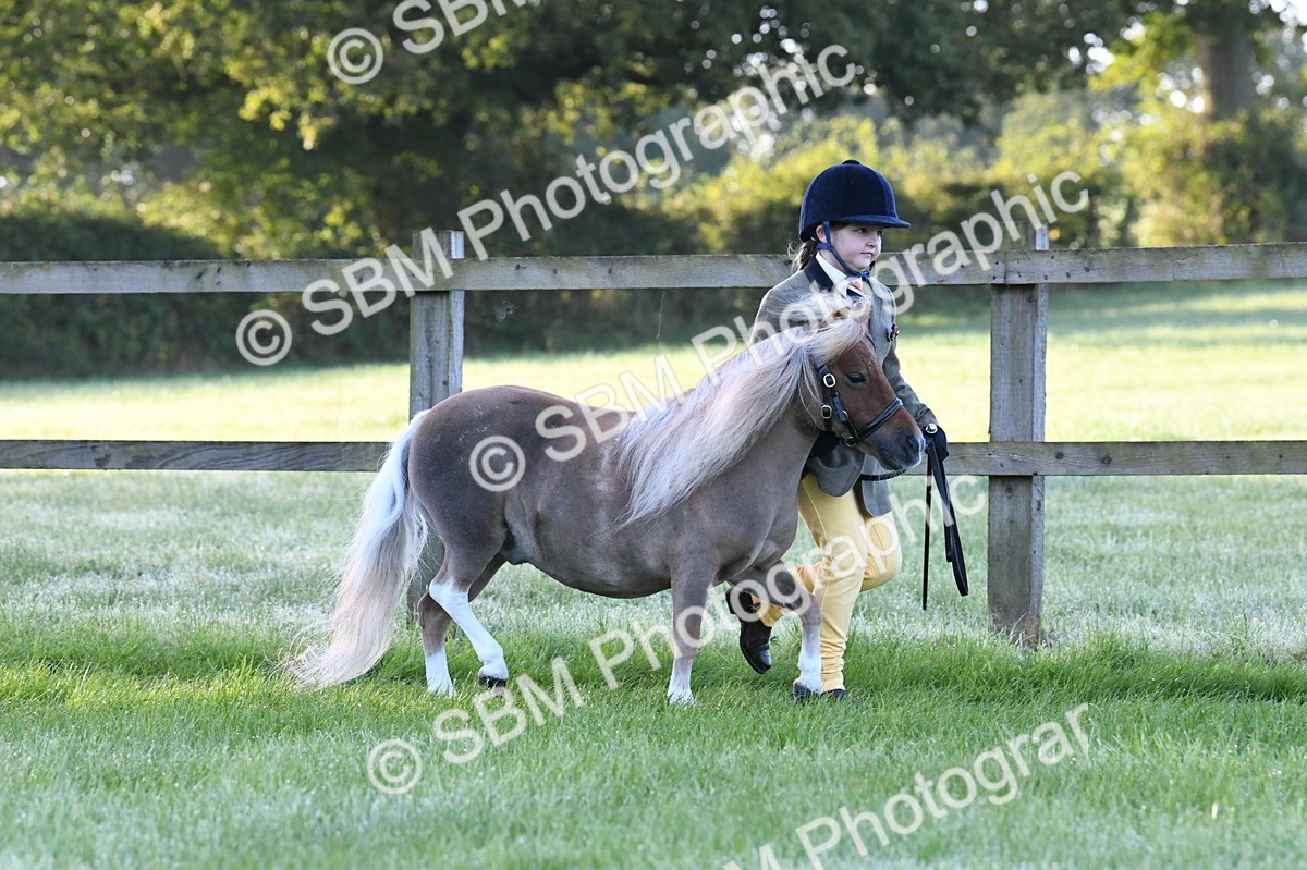 SBM_32608 - S15 - Condition & Turnout In Hand