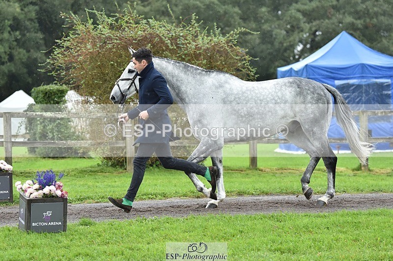 231018-124716-00519 - 064-AIR.MAIL-Daisy.Amin-TrotUp