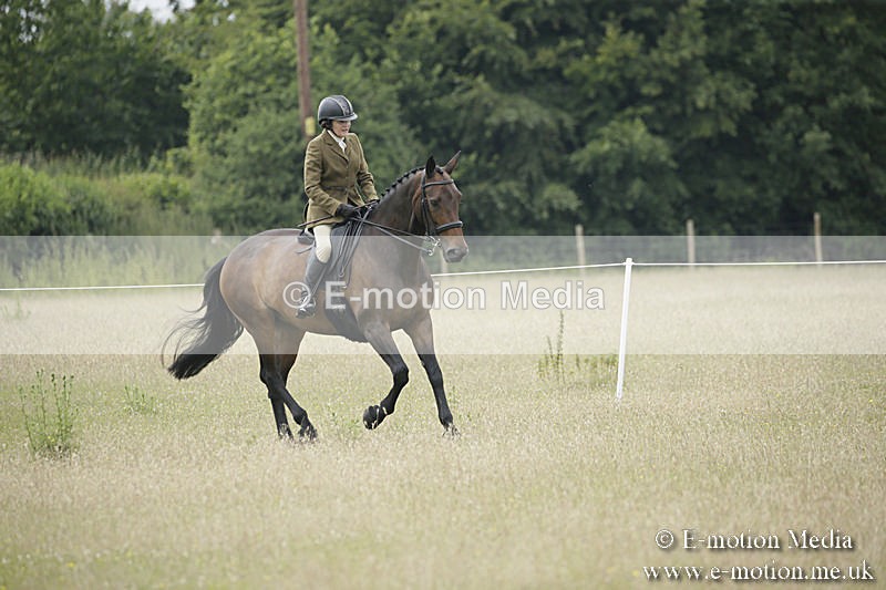 B230619-0709 - Bourne Valley Riding Club Summer Show 23/06/19