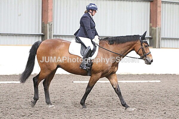 SIAL5287 - CAbin Dressage 5th july 2025