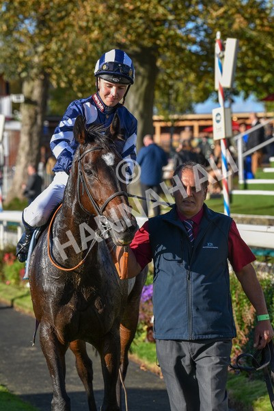 141023-Race 5-Certain Lad-1398 - Race 5 3.35pm Coral Racing Bet Bundles Handicap