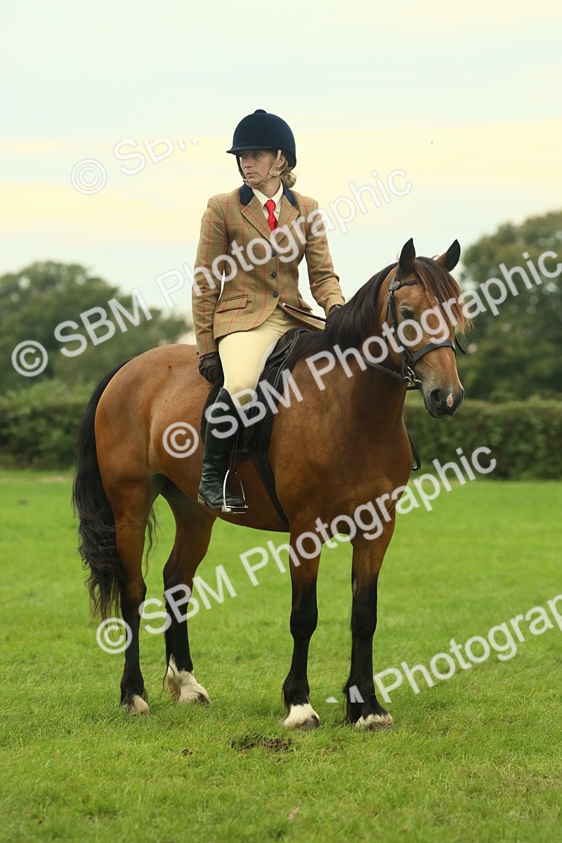 SBM_72246 - S60 - Mountain & Moorland Ridden Large Breeds