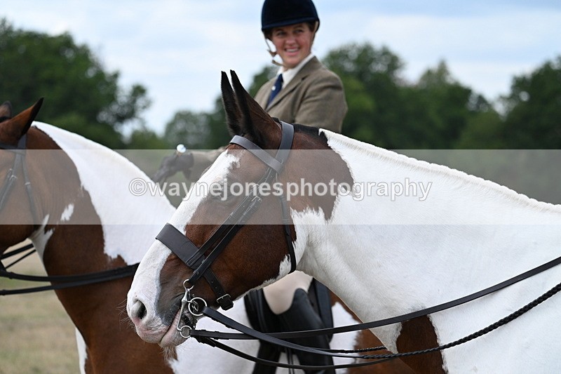 WJ7_5375 - Class 12 Ridden Cob