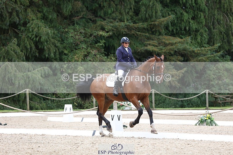 230812-120830-03935 - Cls 5 Novice Bronze 11.15 to 12.50 break