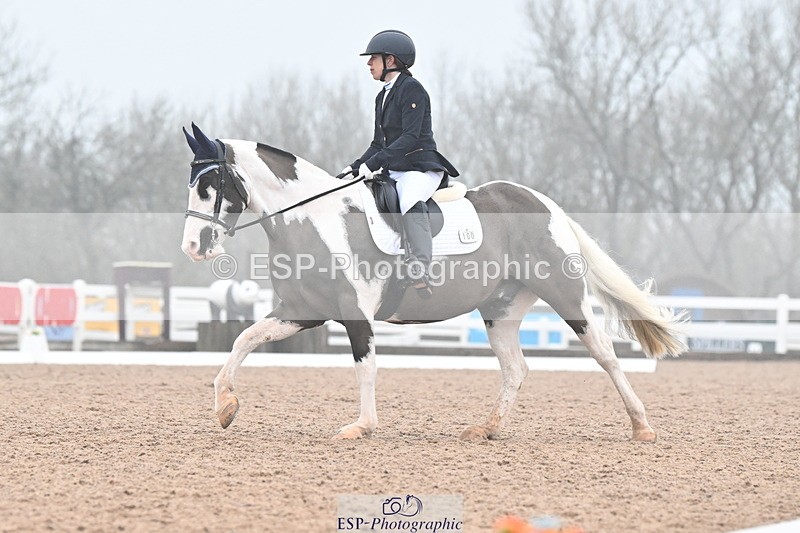 240217A-121150-02146 - 100-Gemma.Pine-Major.IV