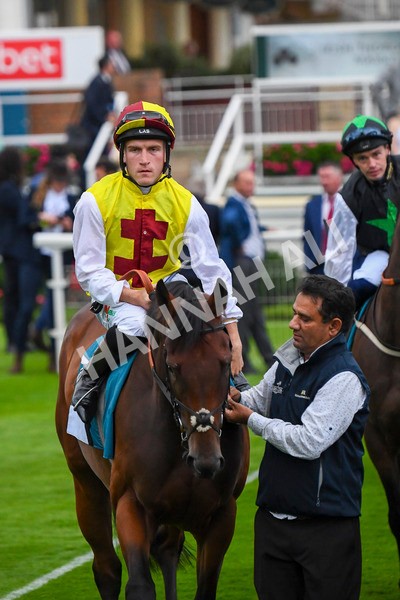 280723-Race 7-Knebworth-0737 - Race 7 8.20pm Sky Bet Go-Racing-In-Yorkshire Summer Festival Handicap