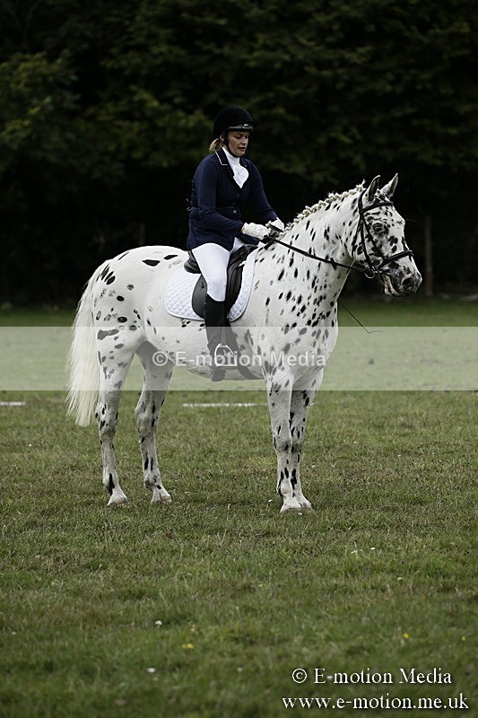 BVR080918 290 - BVRC Novice Dressage & CR 08/09/18