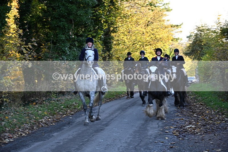 WJ6_9771 - Walk Home