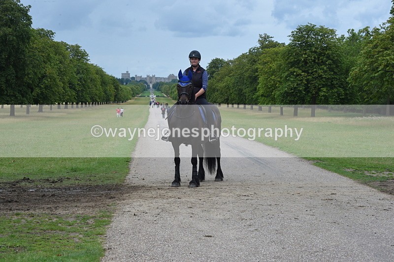 TT3_0124 - Time at Crossing 13:17 to 14:48