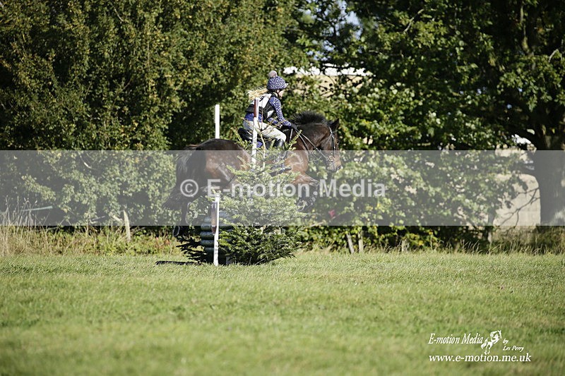  WWHT 031021 1294 - Open Novice (0.80m) 03/10/21