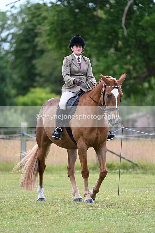 WJ7_8956 - Class 8 Ridden Veterans