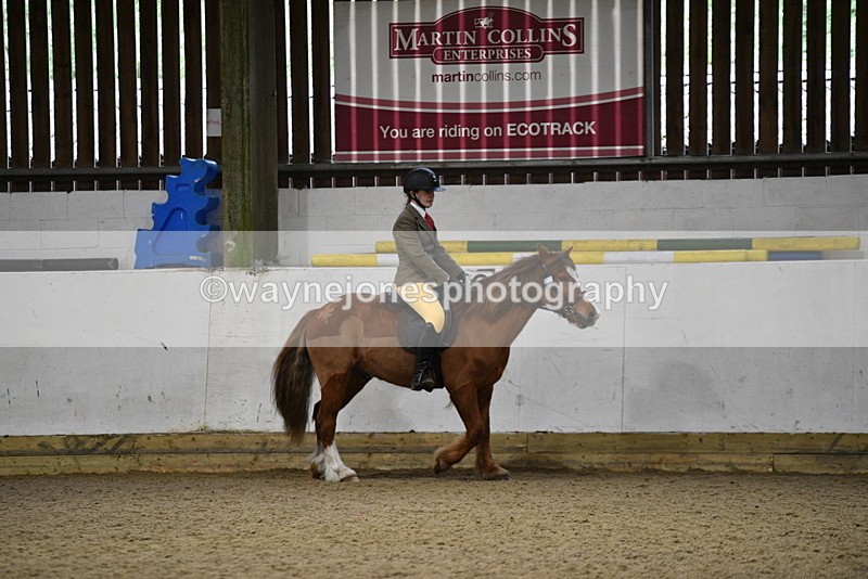 WJ5_8198 - Class 14 Novice Ridden/Rider