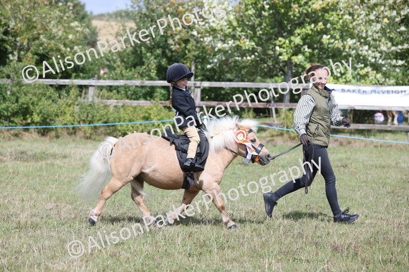 20250831-2784 - Class 17 - Lead Rein Pony