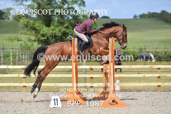 BPP_1087 - Senior Discovery/ 1m Open