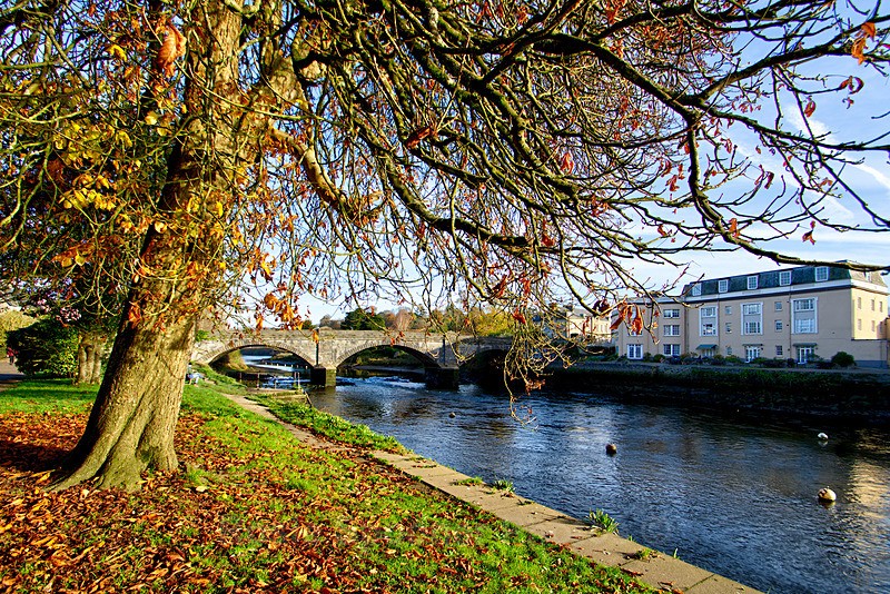 Autumn Totnes 2 - Devon Misc