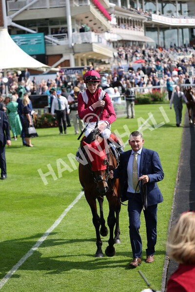 yr18082021r4-26 - Race 4 3.35pm Juddmonte International Stakes (British Champion Series race)