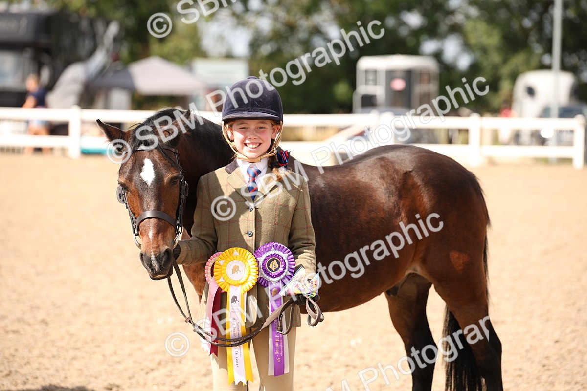SBM_03455 - Class 18 Handsomest Gelding (IH or Ridden)