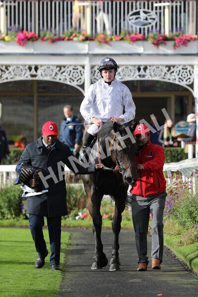 yr07102022r4-54 - Race 4 3.50pm William Hill Best Odds Guaranteed Stakes