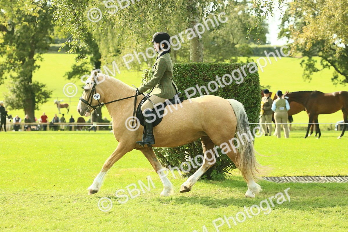 SBM_62651 - S63 - Other Coloured Horse Ridden