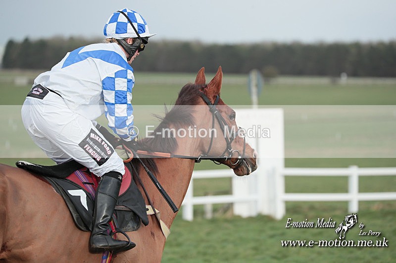 PtP 311223 243 - Larkhill Racing Club Point-to-Point 31/12/23
