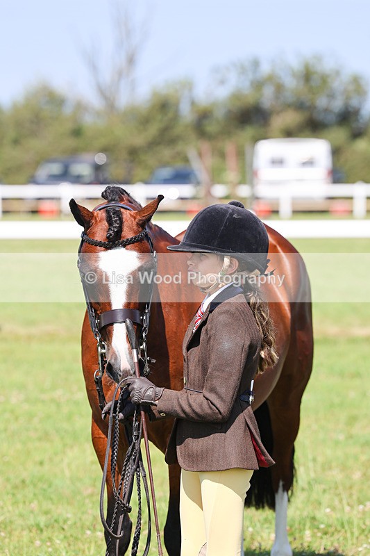 IMG_2037 - Class 34: Show Hunter Pony 153cm and under