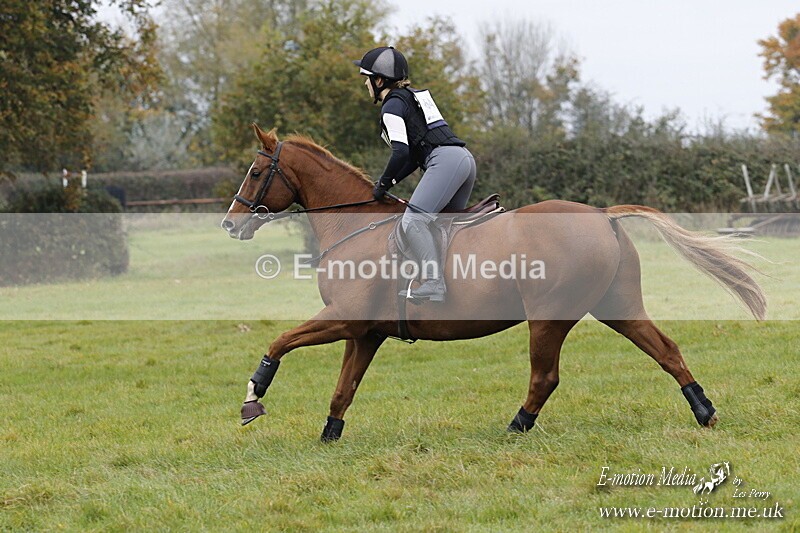 WWHT 181020 WWHT 181020 523 - WWEC Open Novice (0.80m) 18/10/20