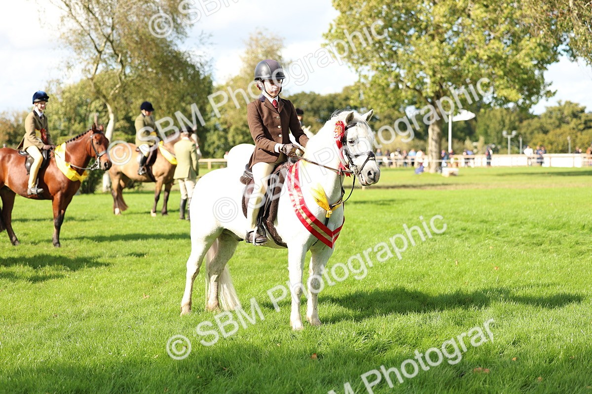 SBM_46385 - Working Hunter Pony Supreme Championship
