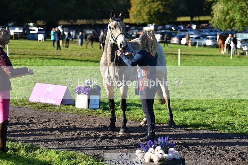 231022-093514-21895 - 471-LISCARROW.SHILOH-Justine.Walker-TrotUp+SJ