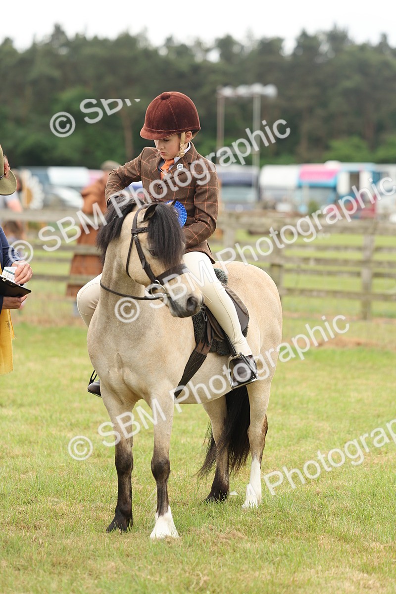 SBM_07140 - Class 76-77 - Ridden M&M Welsh Ponies