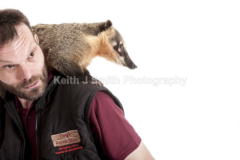 2SKJ8836 - Roaming Reptile Show. II