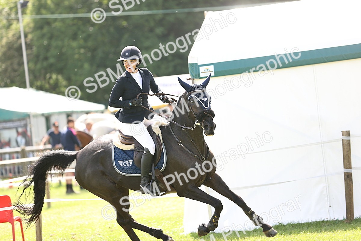 SBM_03068 - Class 201 - British Horse Feedds Speedi Beet HOYS Grade C