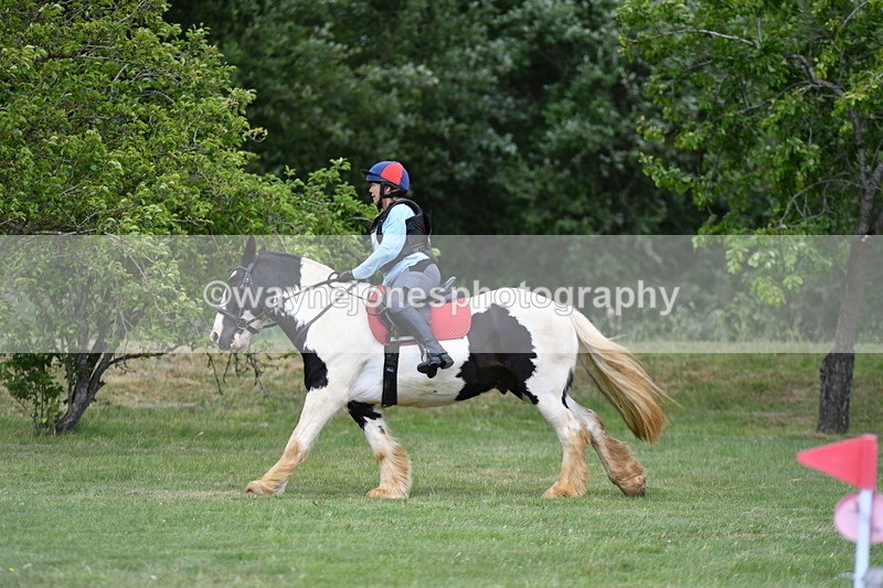 WJ5_3335 - Class 4 60cm