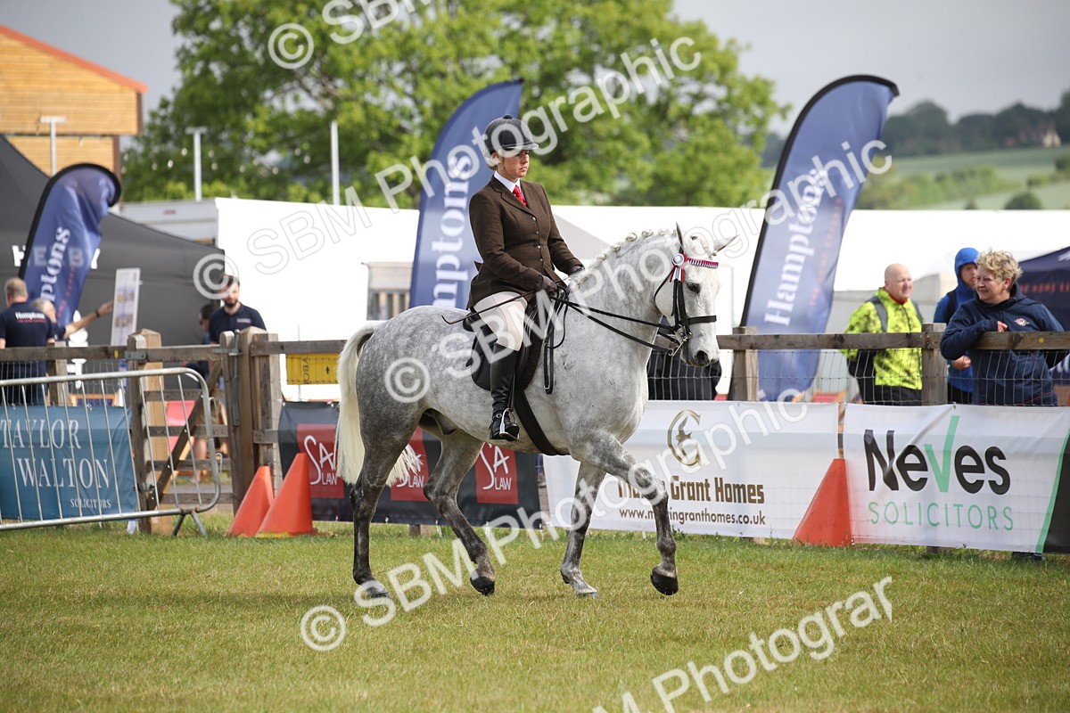 SBM_11498 - Class 95-96 - LIHS BSHA Rising Star Hack Riding Horse