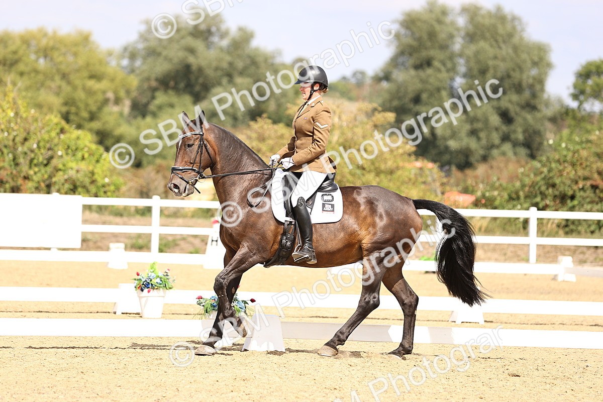 SBM_014960 - Class 6 - Elementary 5