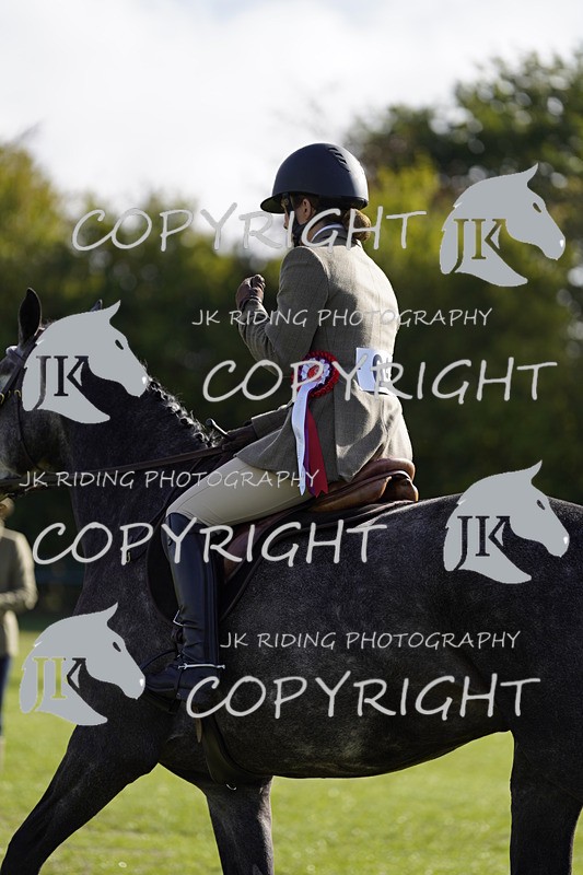 _DSC9614 - Class 8 & 17 Ridden Hunter & Ridden Hunter Pony