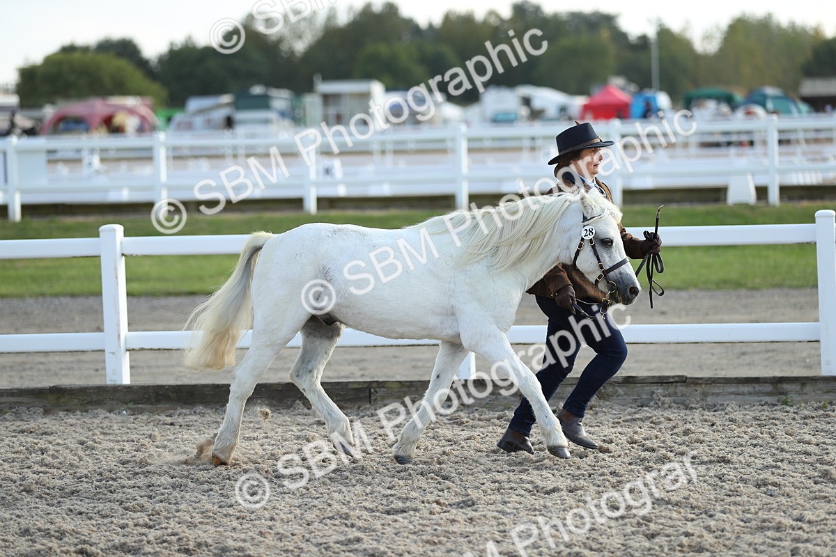 SBM_08935 - Class 29 IH Veteran Pony