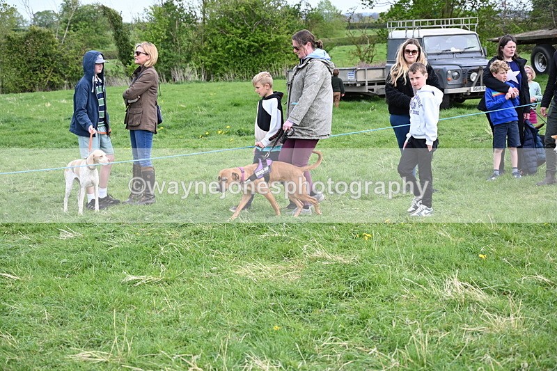 WJ6_8497 - Class 6 Best Rescue