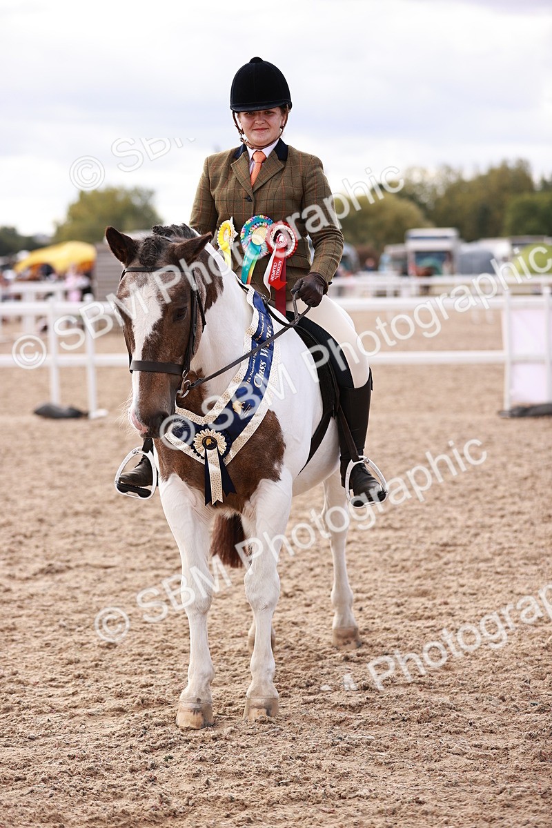 SBM_14399 - Class 409 - Grassroots Ridden - Pony