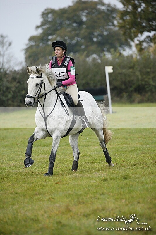 WWHT 181020 WWHT 181020 586 - WWEC Open Novice (0.80m) 18/10/20