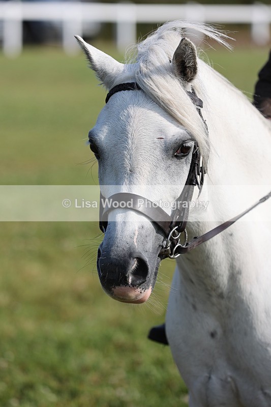 JPP_0581 - Class 15: Cornish Combination First Ridden