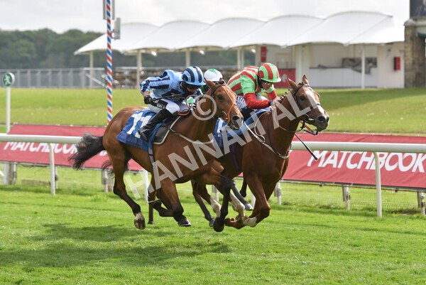 yr14052021r7-32 - Race 7 4.50pm Irish Thoroughbred Marketing Stakes