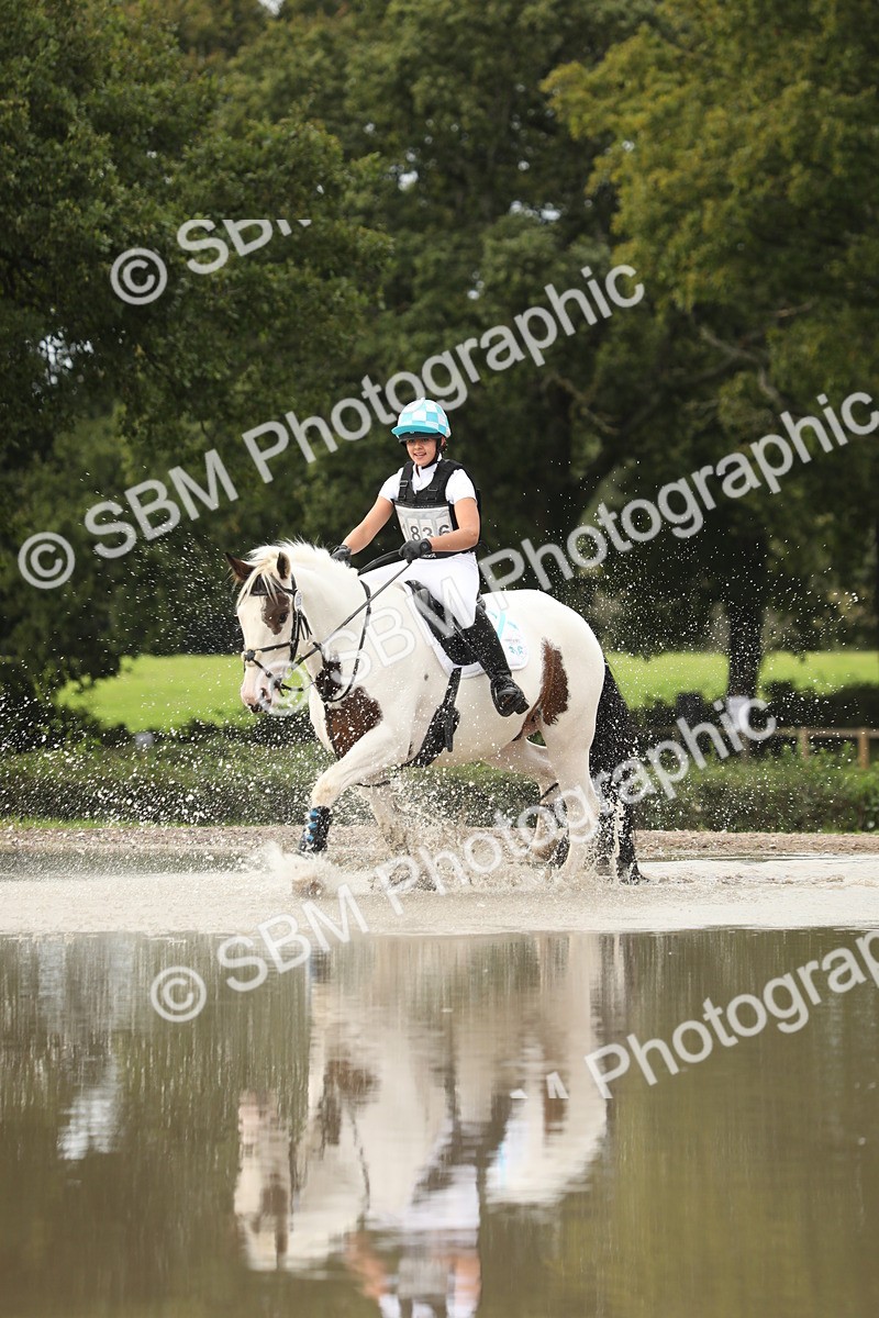 SBM_10776 - E8 Eventers Challenge 80cm Championship