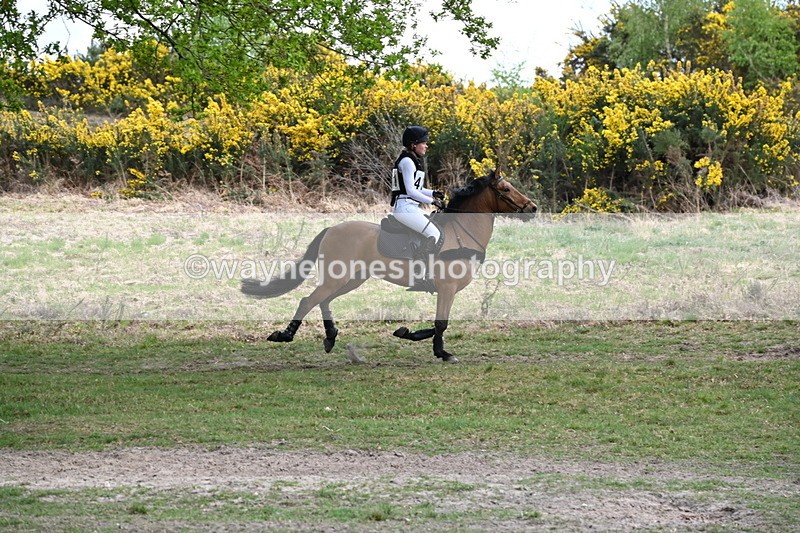 WJ6_1065 - Time 15:18 to 15:33