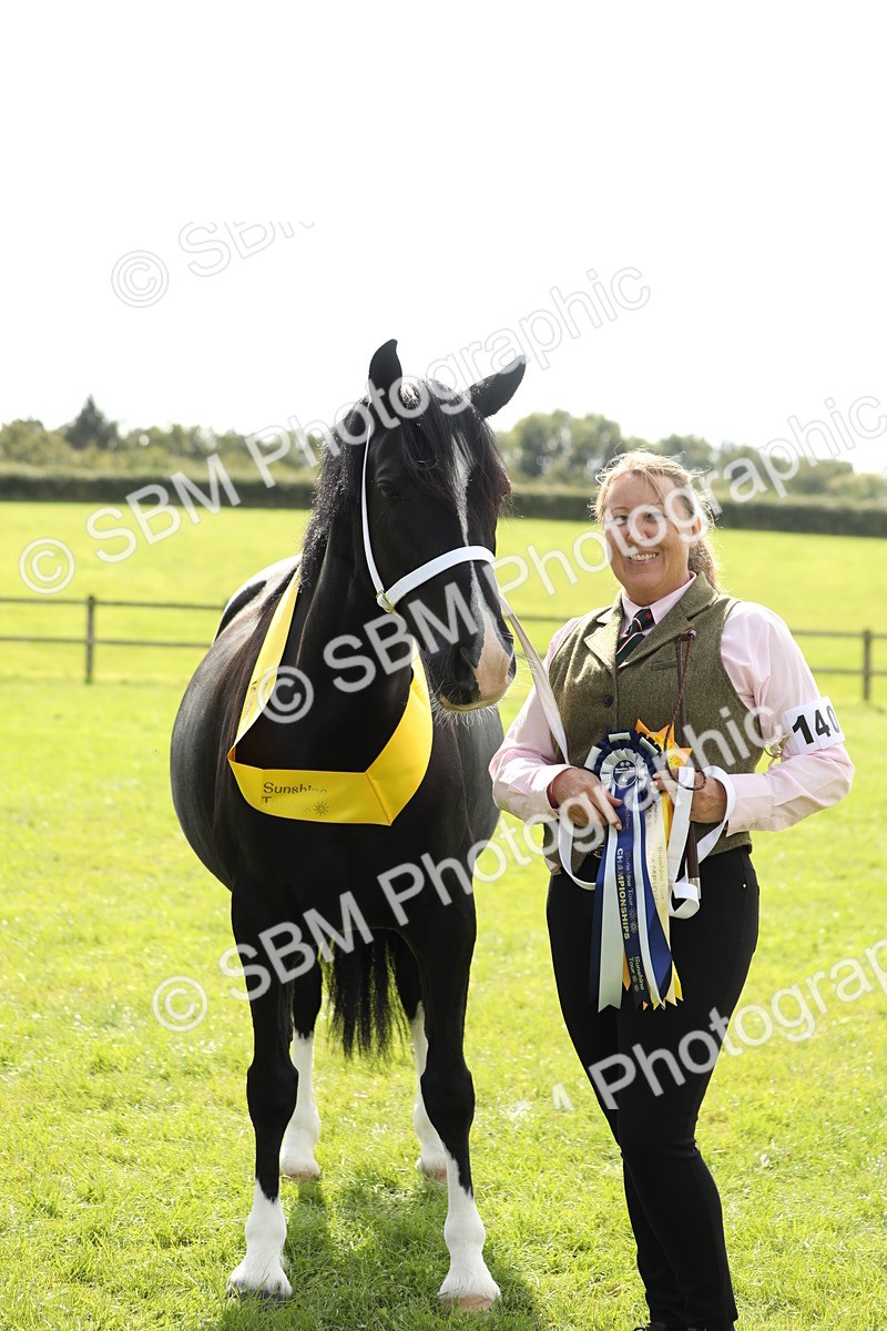 SBM_66355 - In Hand Pony & Youngstock Supreme Championship